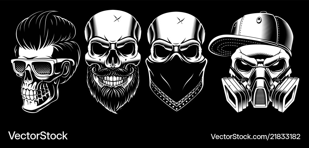 Vintage Skull Collection vector image