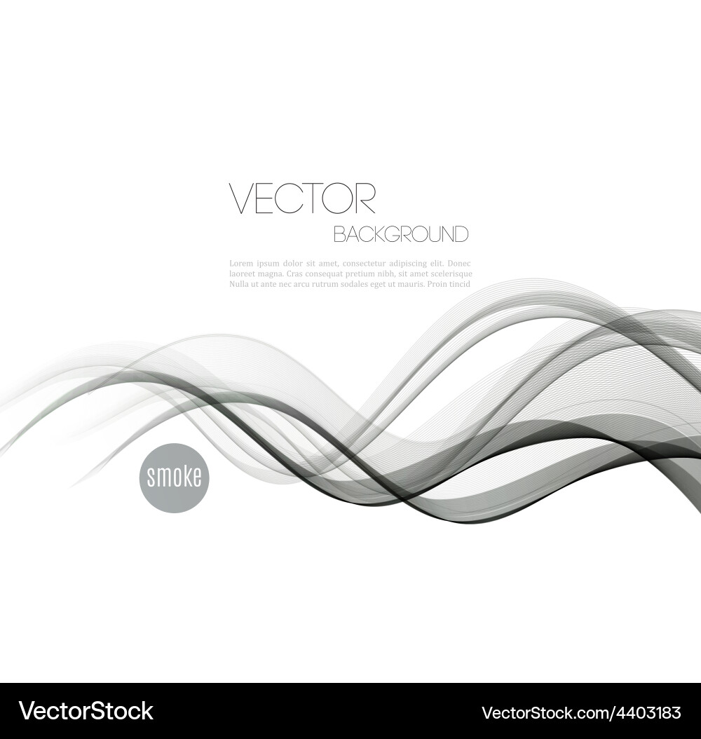 Abstract curved lines background template vector image