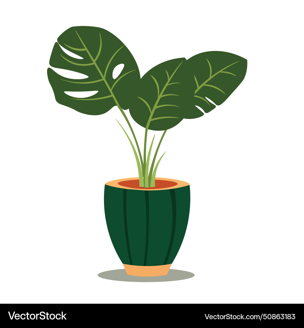 Monstera Pflanze auf Blumentopf Haus Pflanzen Clipart Monstera Pflanze auf Blumentopf Haus Pflanzen Clipart vektorbild