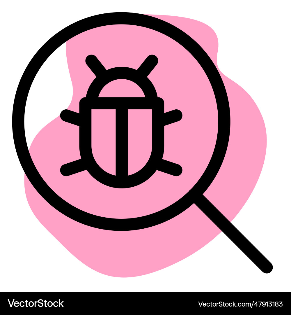 Software bugs found in the system vector image