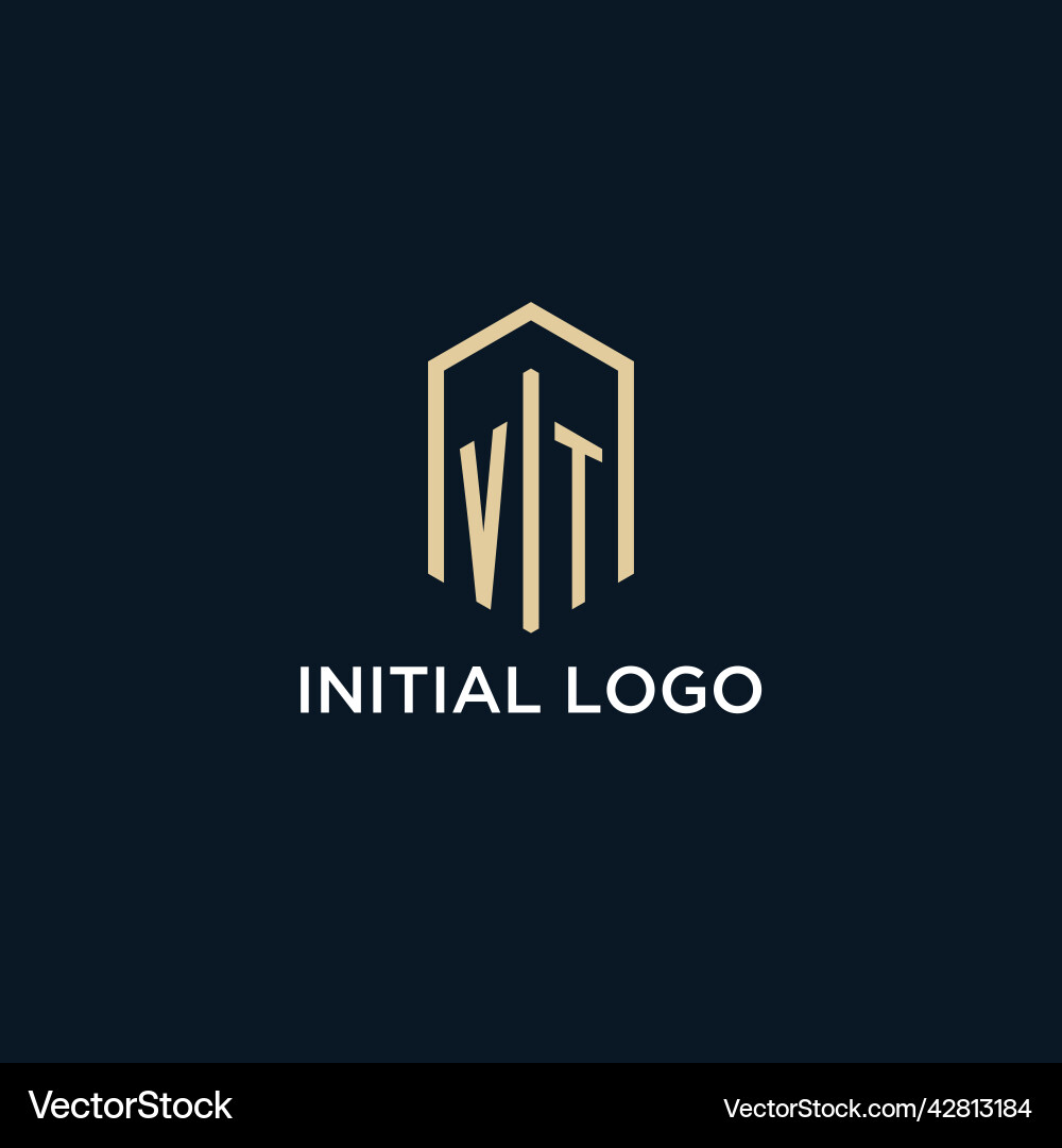 Vt initial monogram logo with hexagonal shape Vt initial monogram logo with hexagonal shape Vector Image
