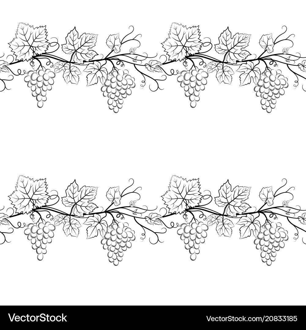 Grape Bunch Seamless Pattern vector image