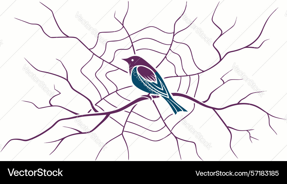 Intricate spider web with bird and butterflies vector image