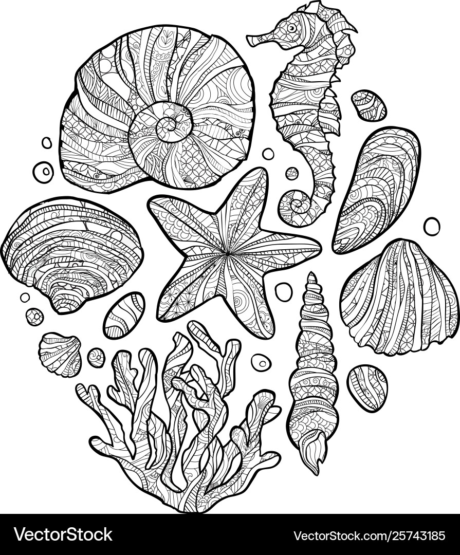 Seashell Zentangle Art vector image