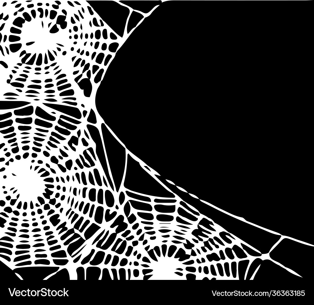 Spider web isolated on background Vector Image