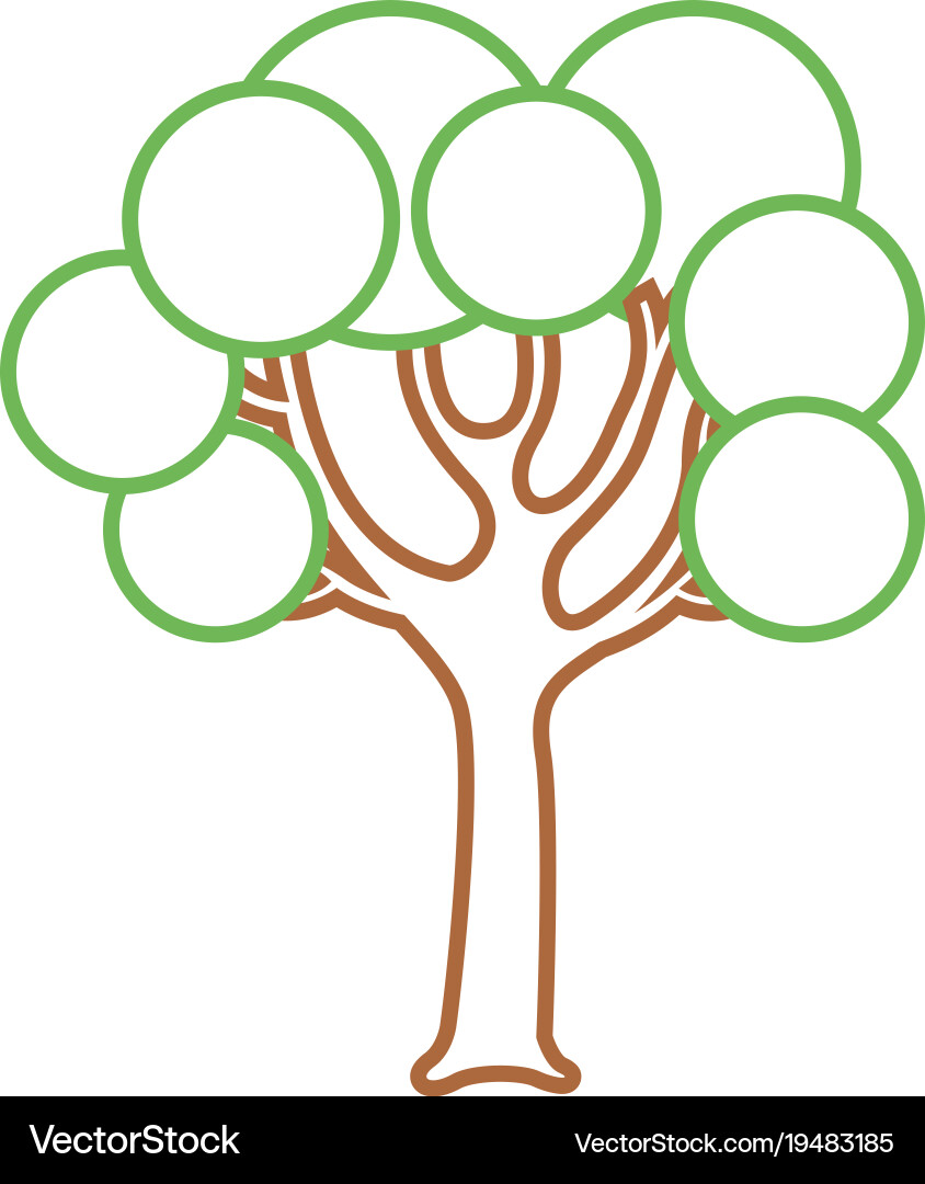 Tree with round shapes branches trunk Vector Image