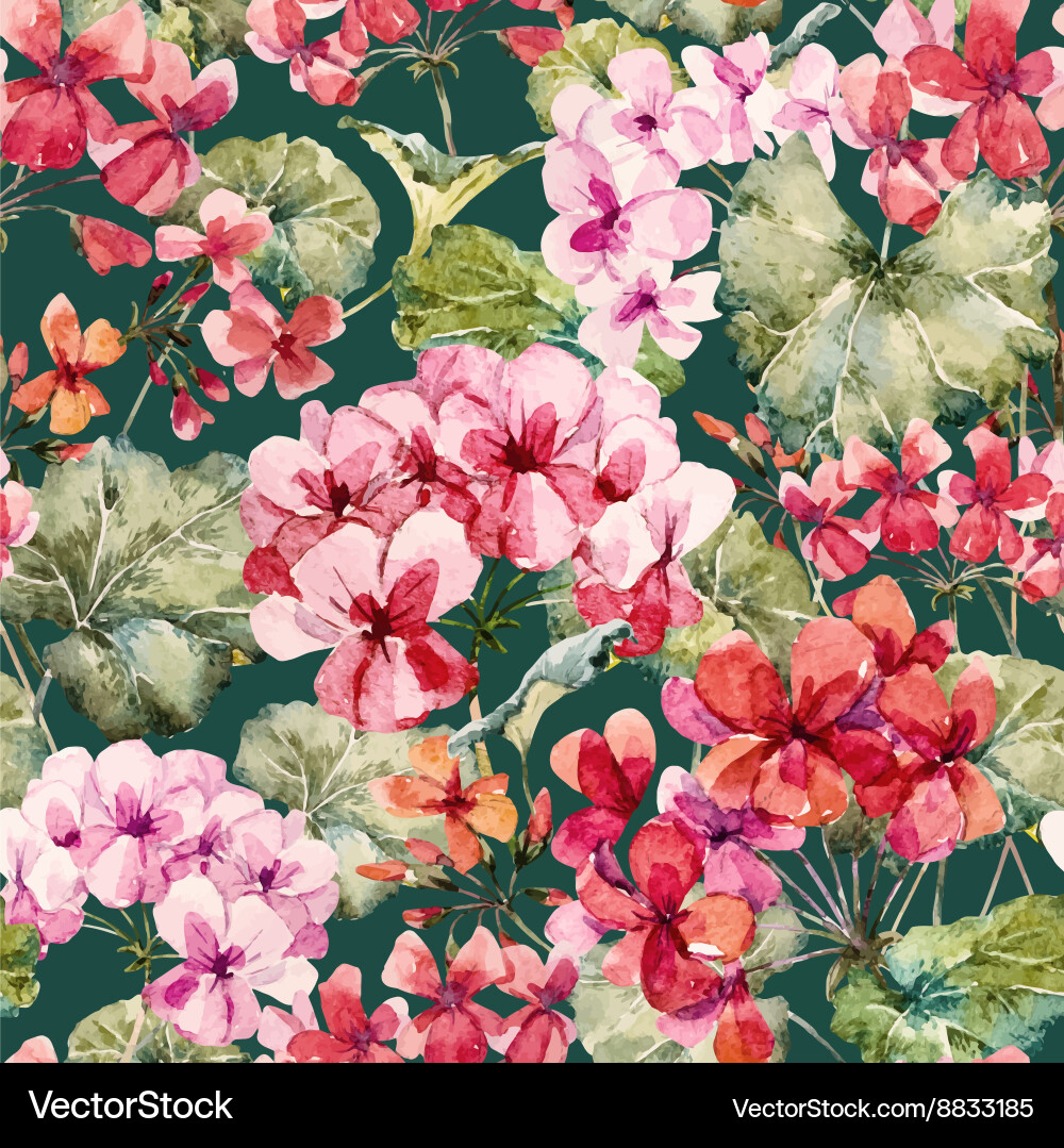 Watercolor Geranium Pattern Vector Image