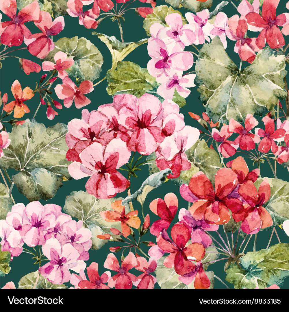 Watercolor geranium pattern vector image