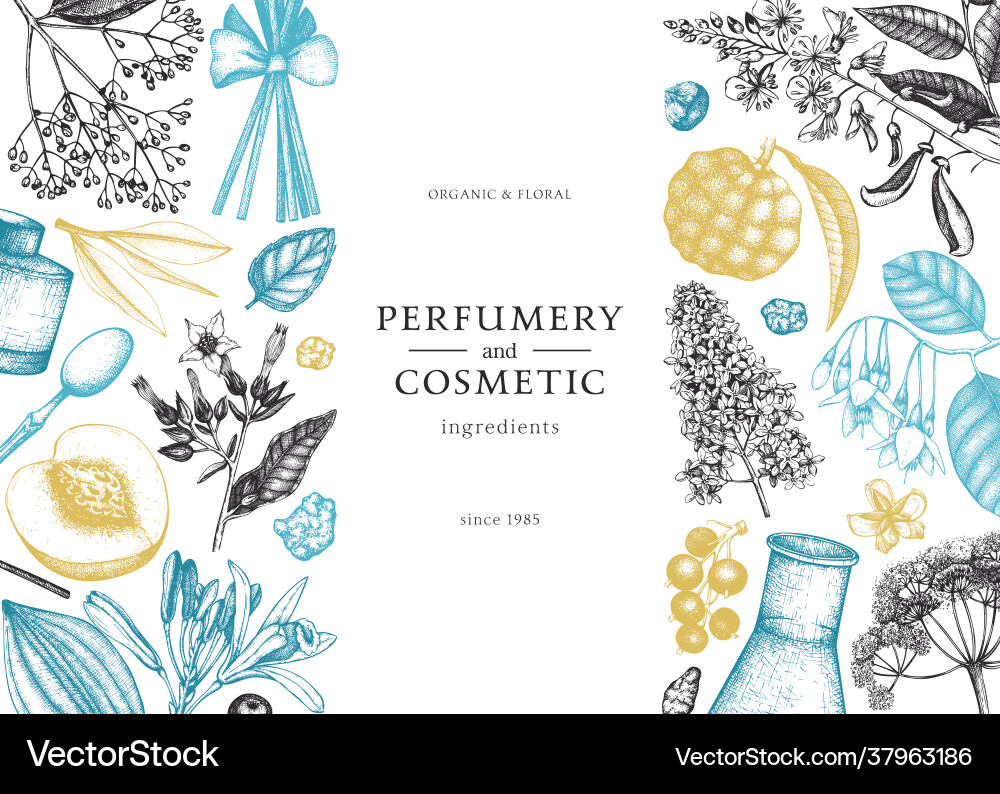 Background with fragrant fruits sketched Background with fragrant fruits sketched vector image