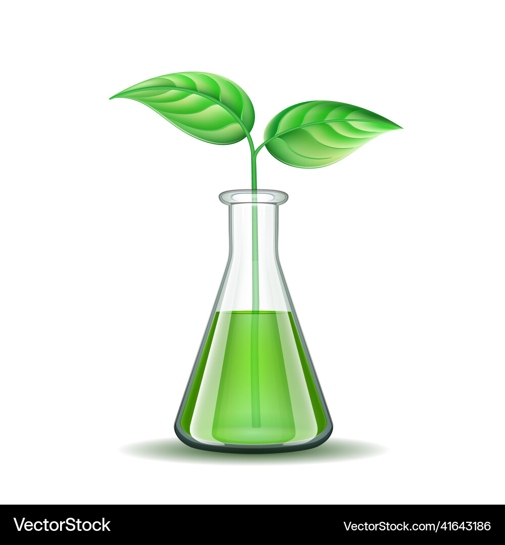 Genetically modified sprout inflask biotechnology Genetically modified sprout inflask biotechnology vector image
