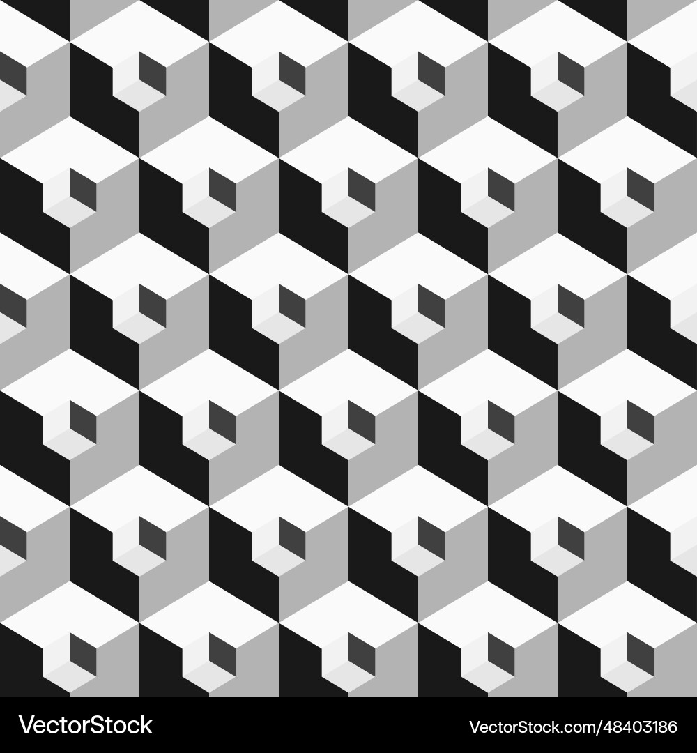 Monochrome Cube Pattern vector image