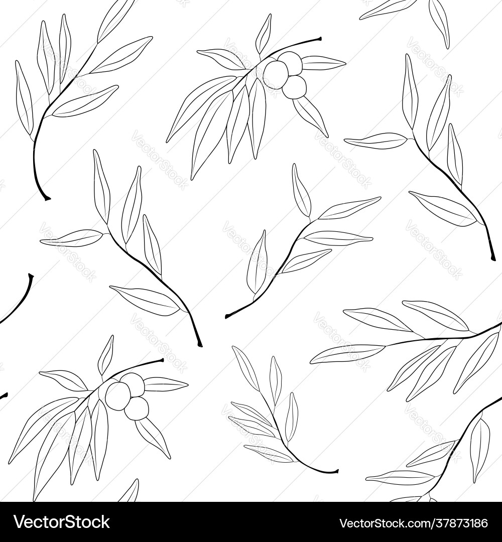 Seamless pattern with olives branches Vector Image