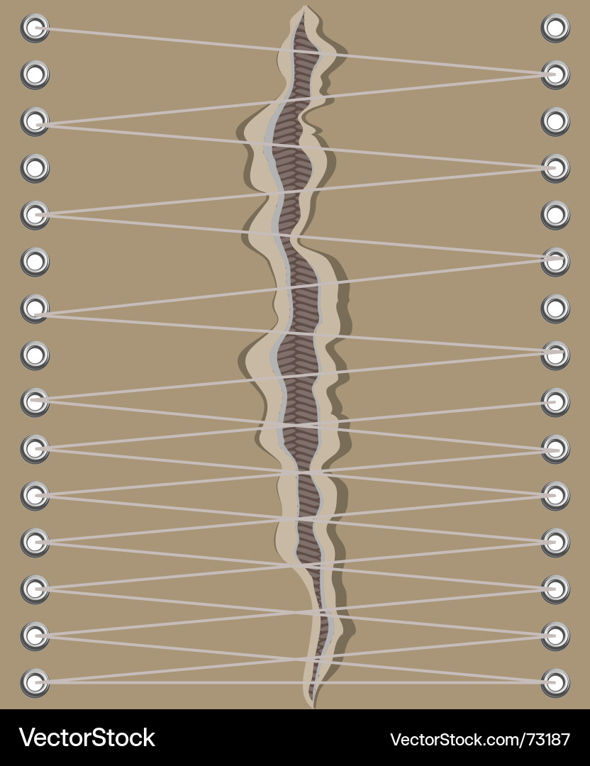 Pattern design Vector Image