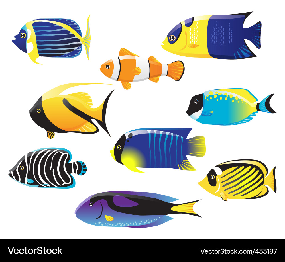 Anemone Fish Vector Images (over 1,800)