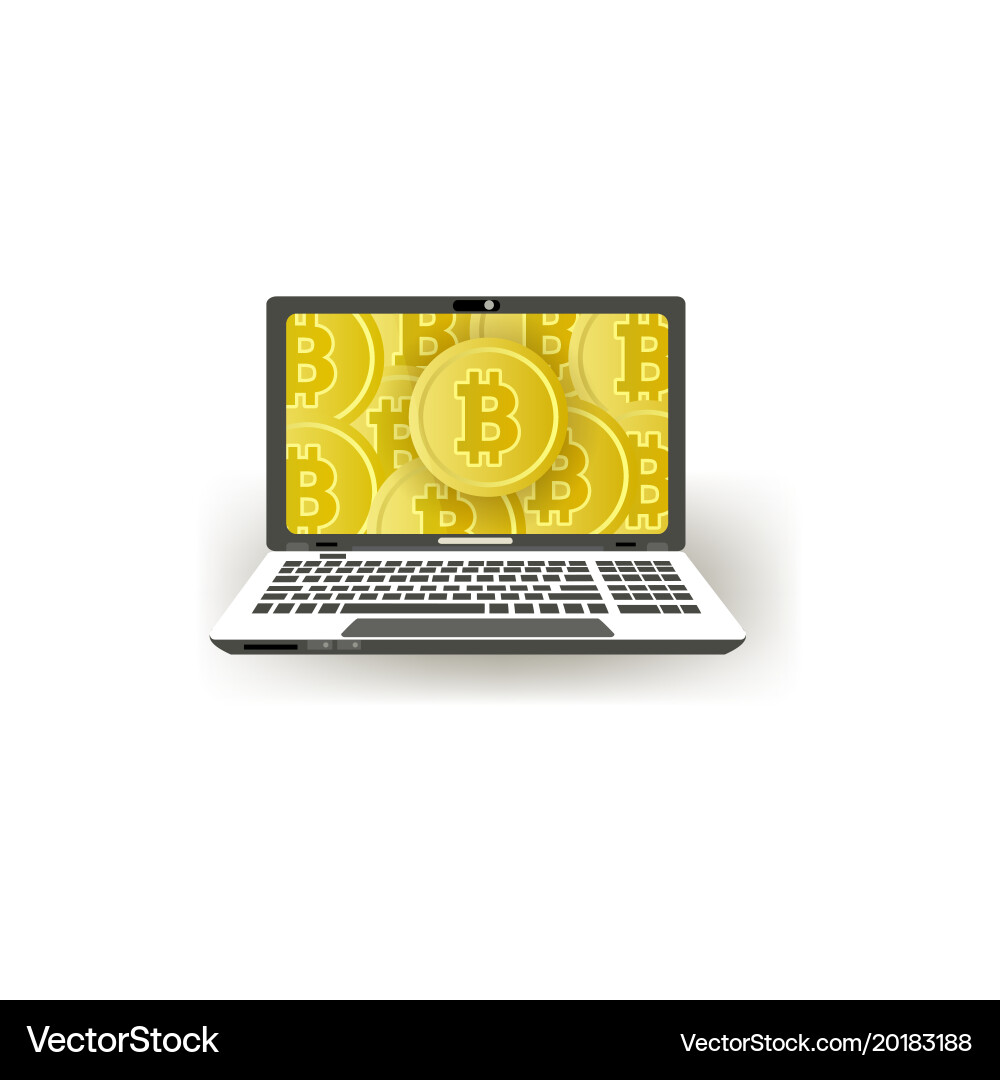 Flat laptop computer monitor with bitcoins vector image