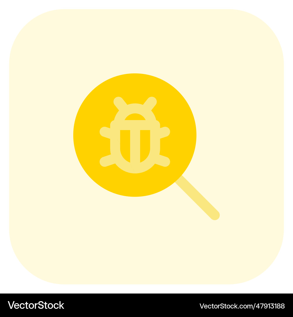 Software bugs found in the system vector image