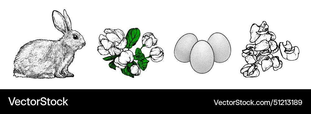 Graphical spring set isolated on white background Graphical spring set isolated on white background vector image