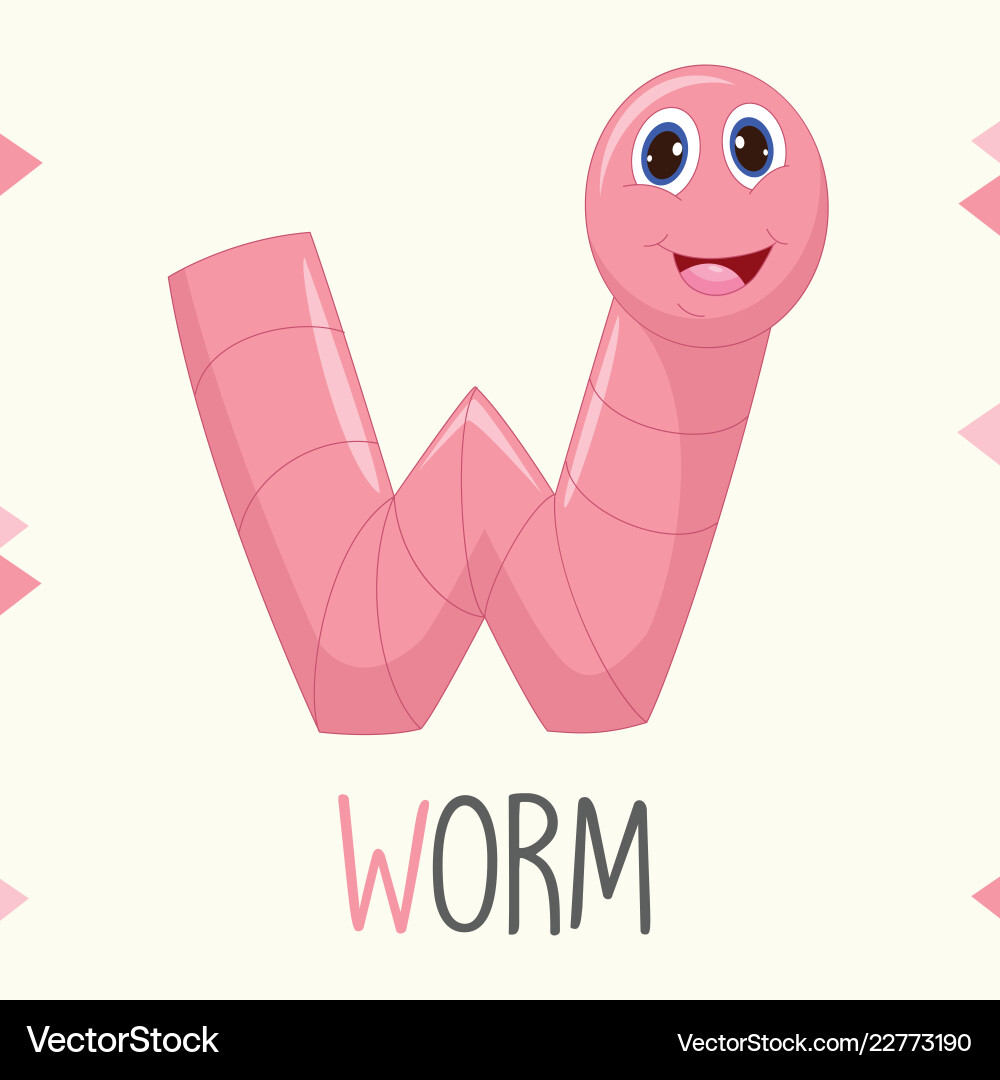 Alphabet Buchstaben w und Wurm Alphabet Buchstaben w und Wurm vektorbild