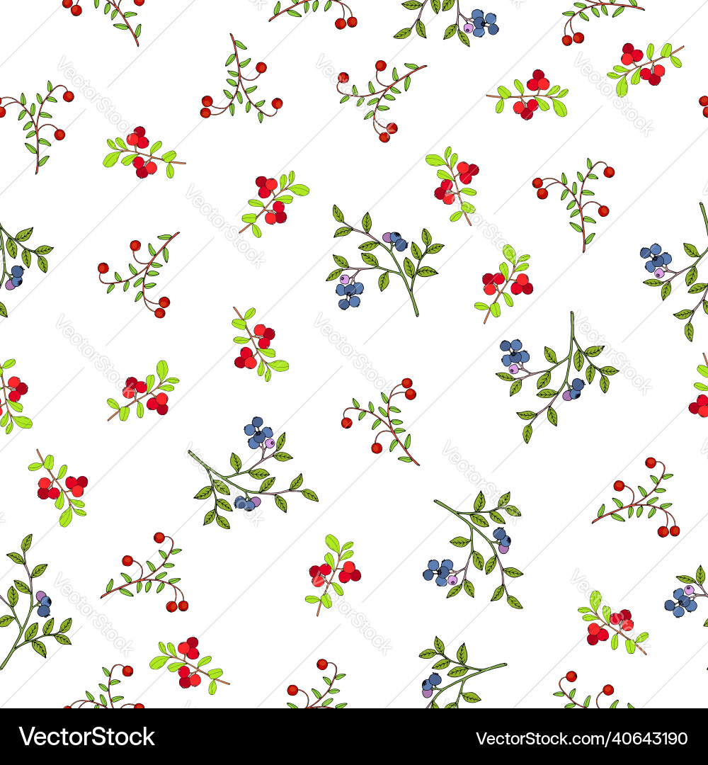 Seamless pattern with forest berries vector image