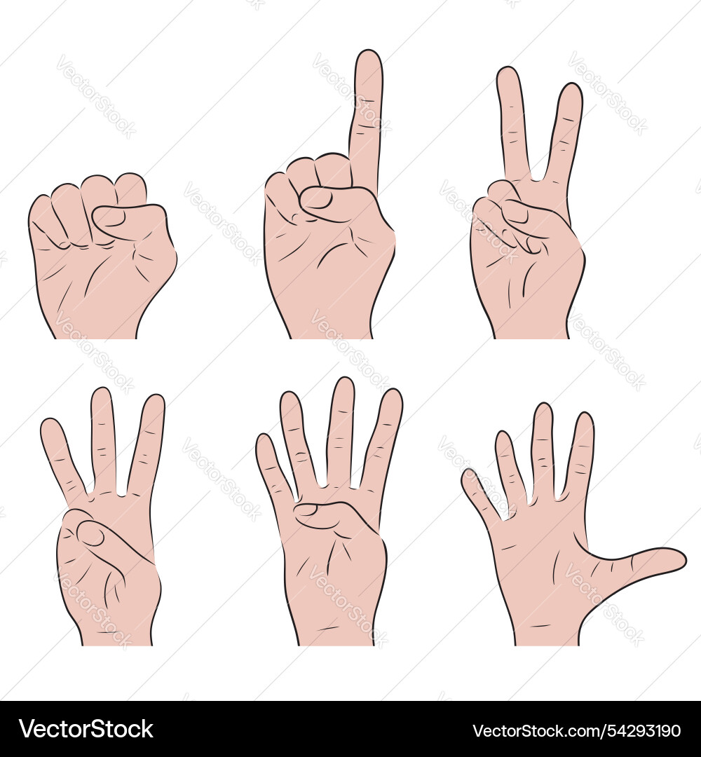 Set of counting on fingers from 1 to 5 Set of counting on fingers from 1 to 5 Vector Image
