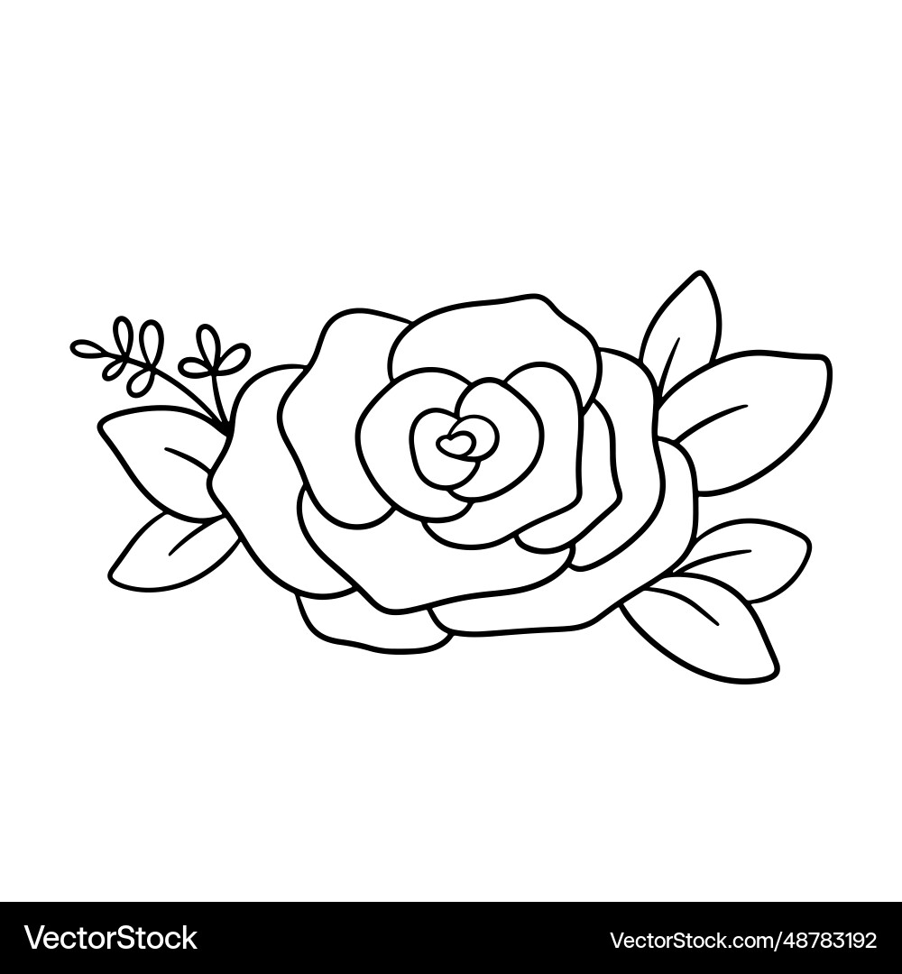 Floral bouquet with flower rose and leaves Vector Image