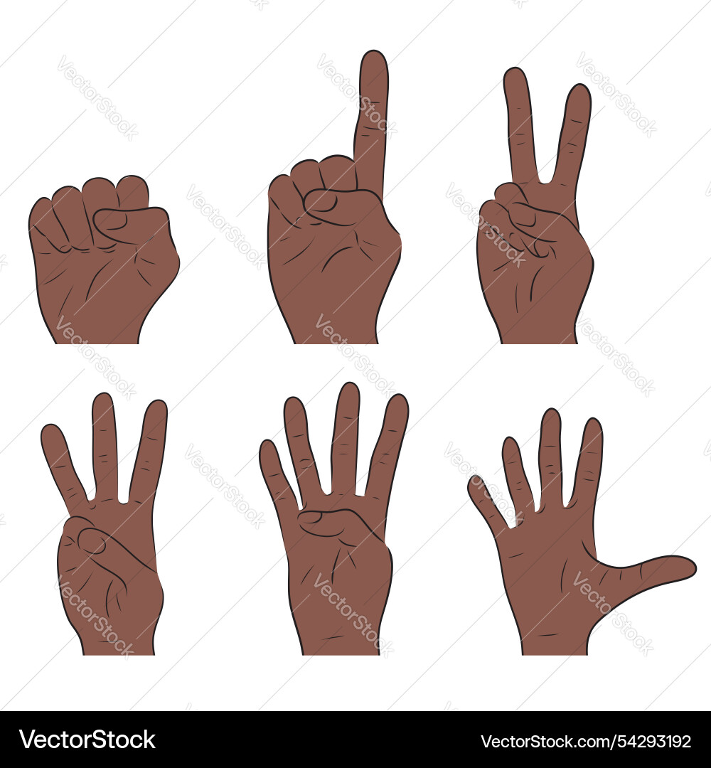 Set of counting on fingers from 1 to 5 Set of counting on fingers from 1 to 5 vector image
