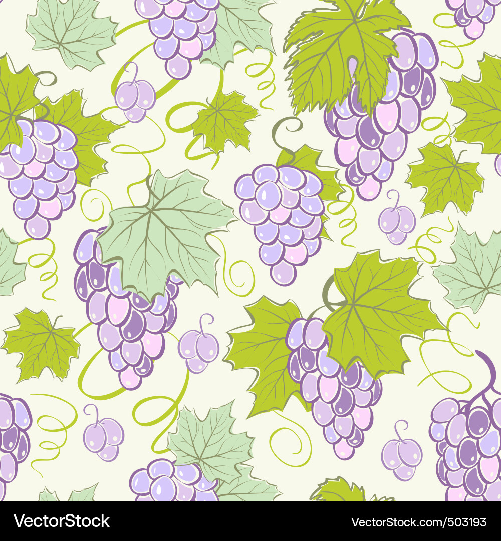 Grape background vector image