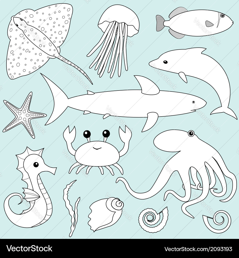 Sea animals set Royalty Free Vector Image - VectorStock