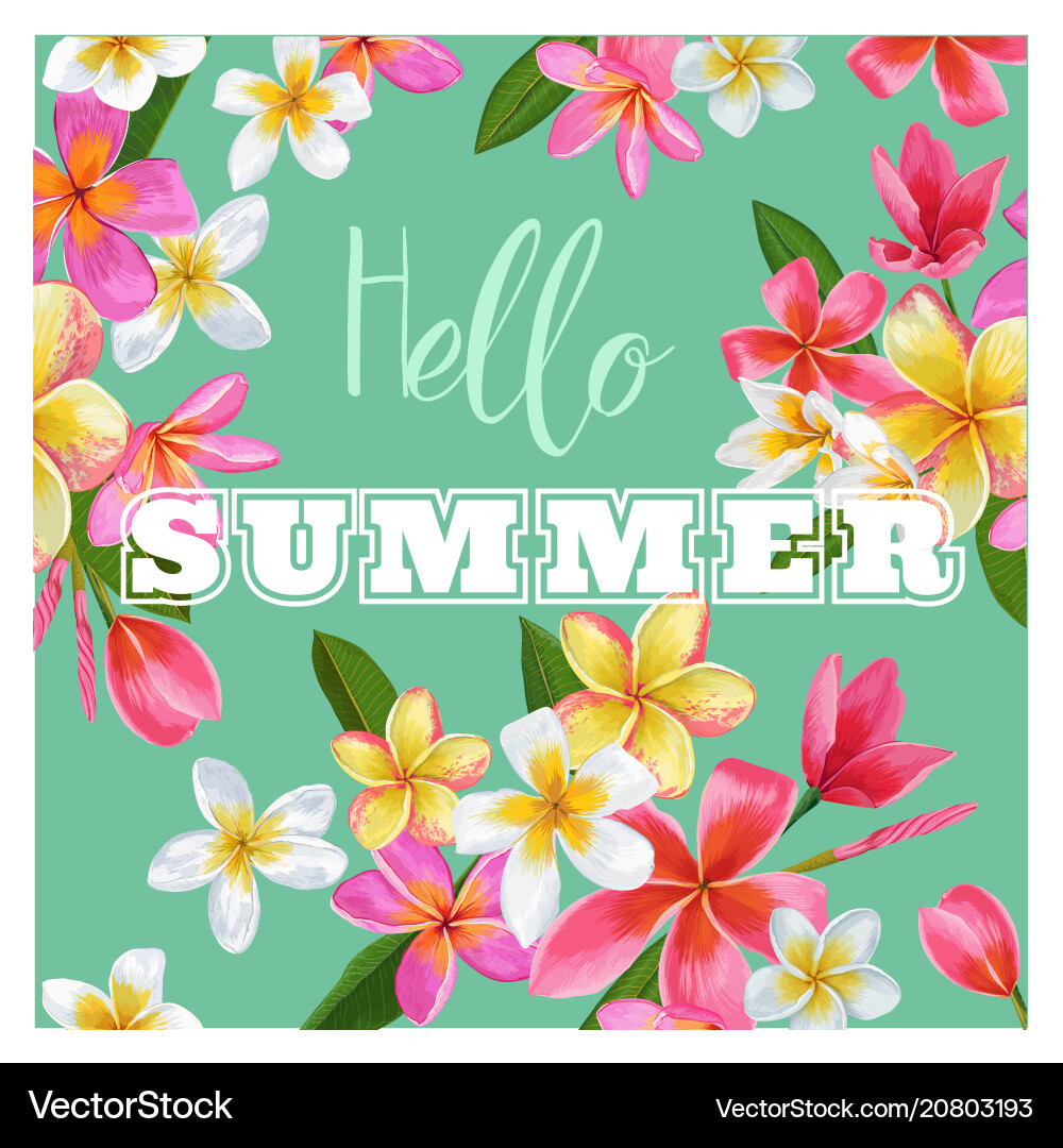 Summer Floral Poster - Plumeria Vector Image
