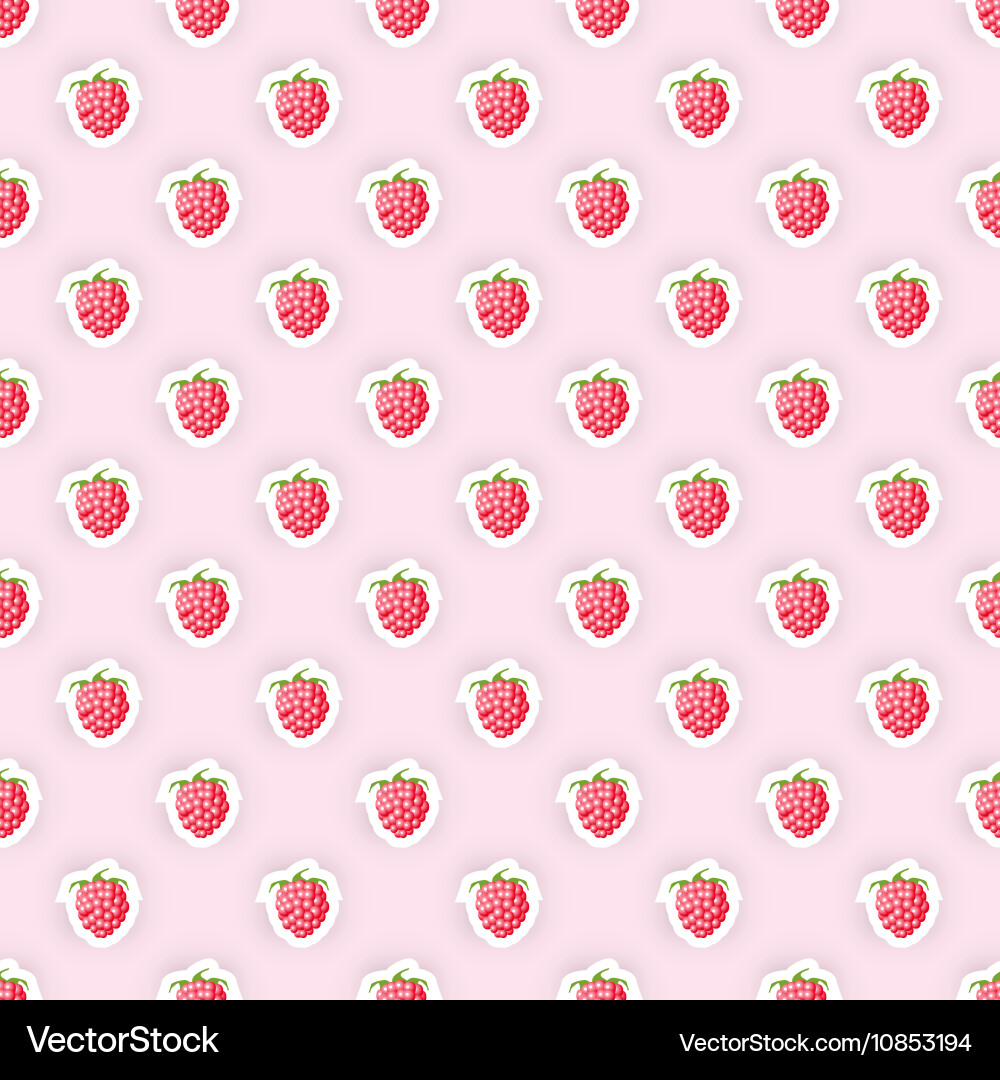Seamless pattern background with raspberry fruit Vector Image