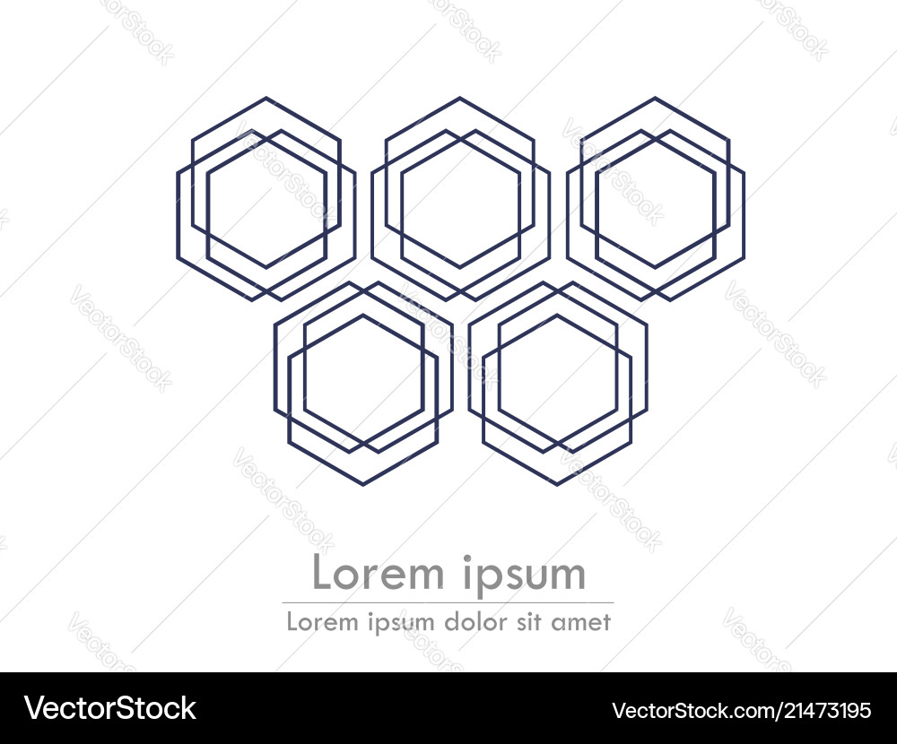 Hexagonal background line with text stylized card Hexagonal background line with text stylized card vector image