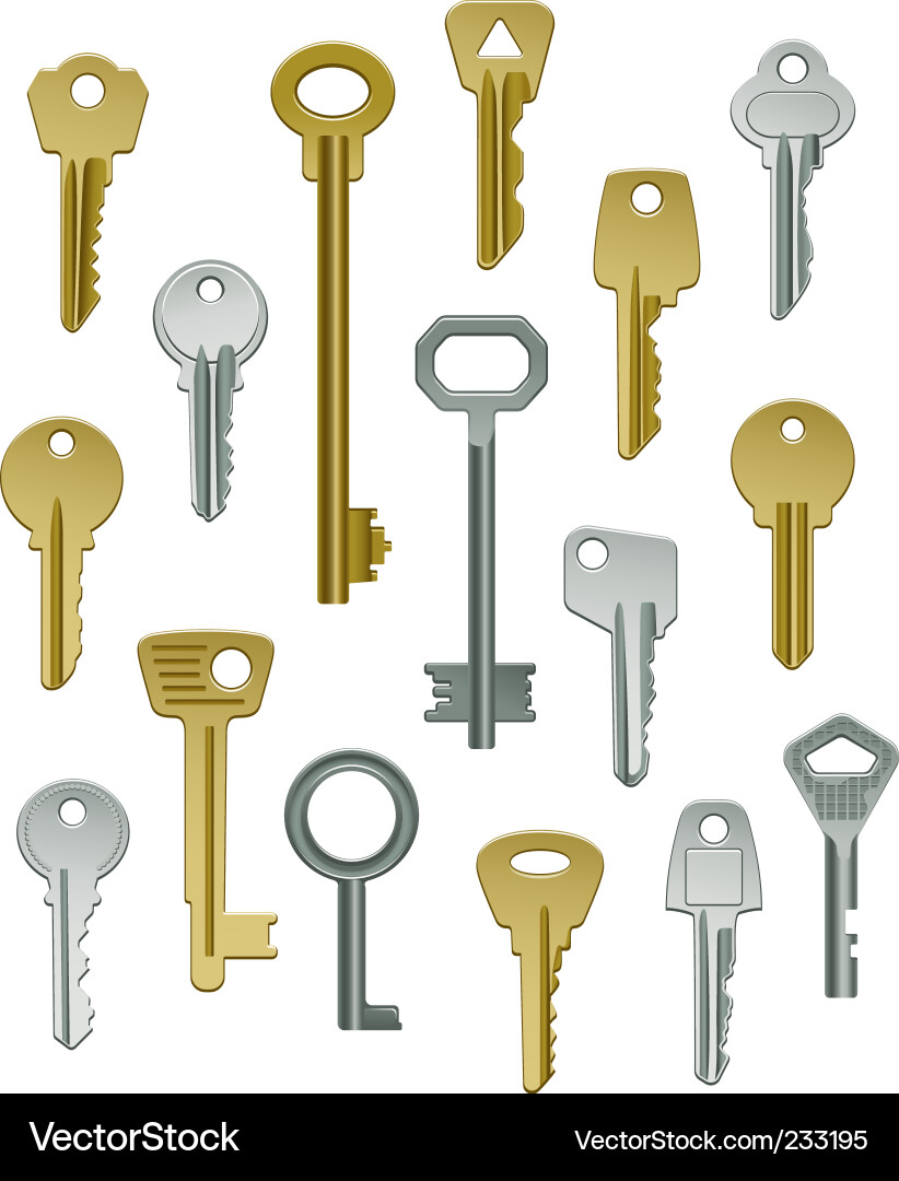 Metallic Keys Collection vector image