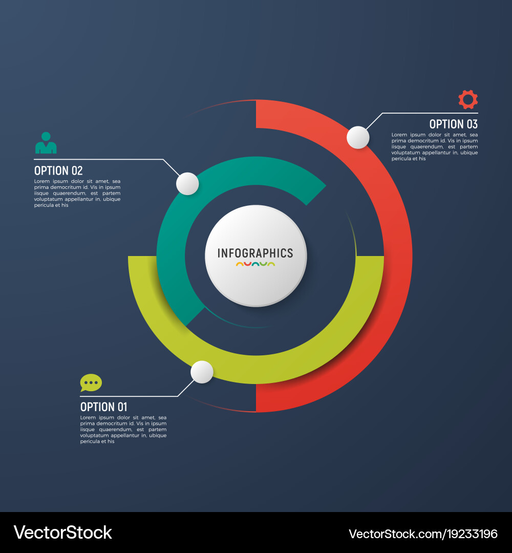 Data Circle Chart Template vector image