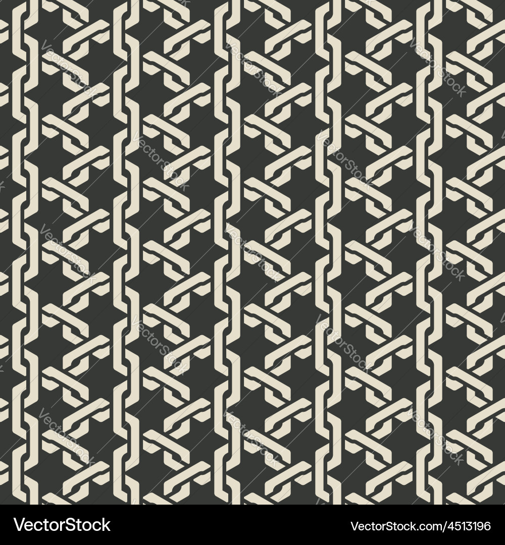 Monochrome mesh chain seamless pattern vector image
