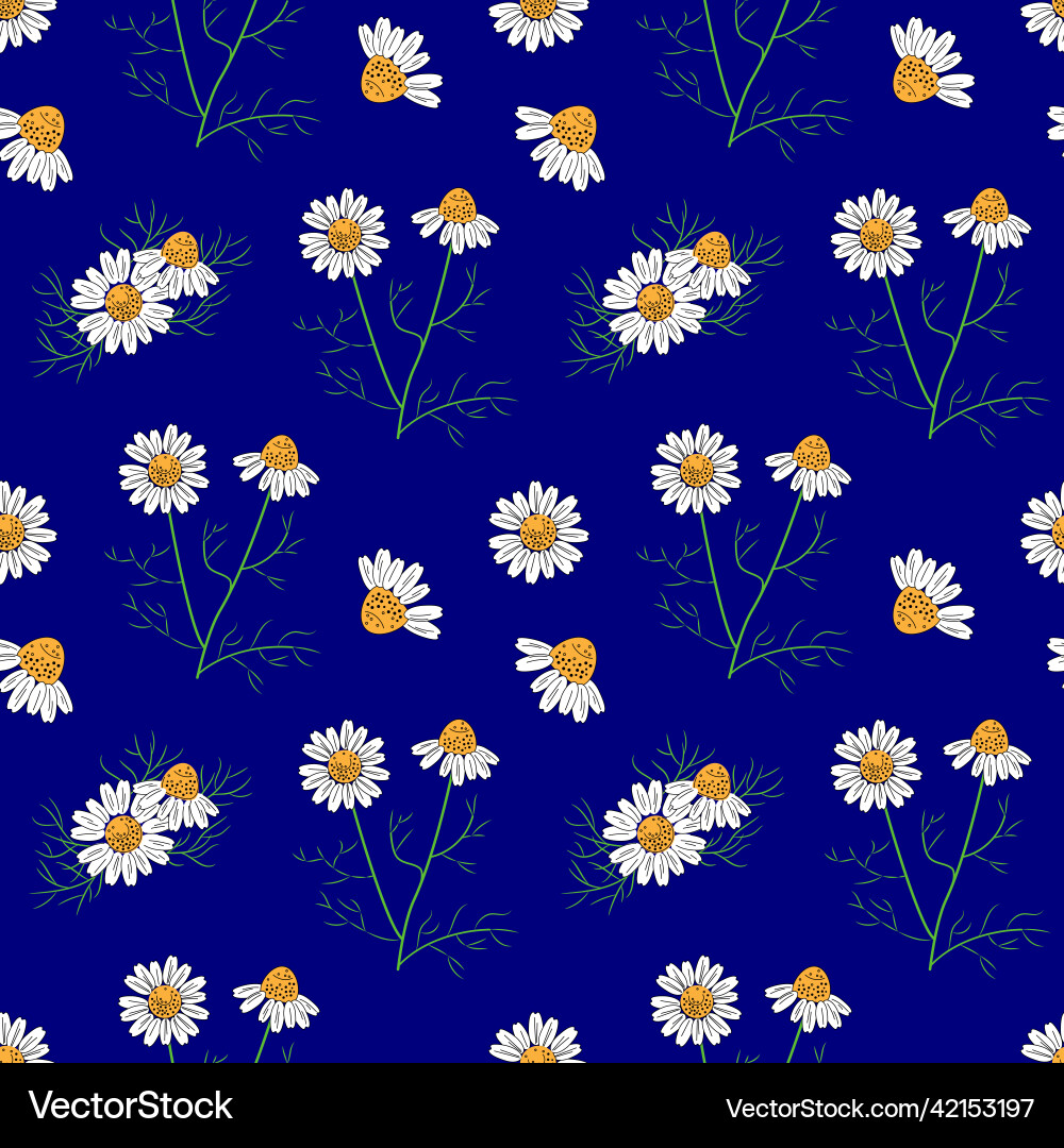 Seamless pattern with chamomile Vector Image