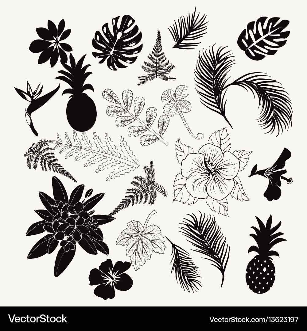 Tropical Leaves & Flowers Vector Image