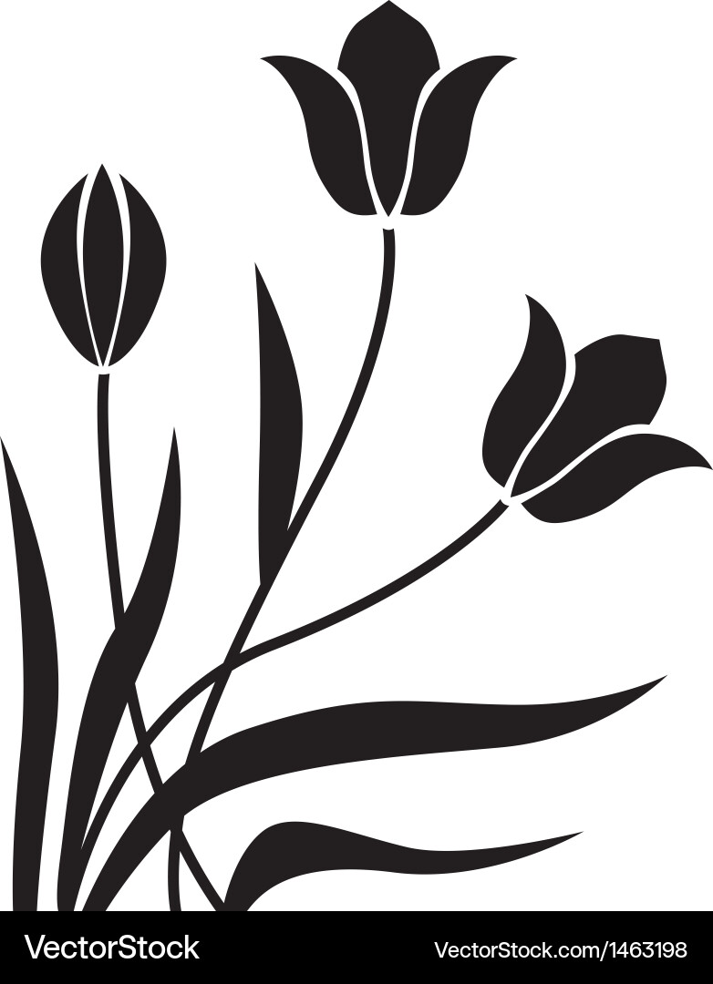 Tulip background Royalty Free Vector Image - VectorStock