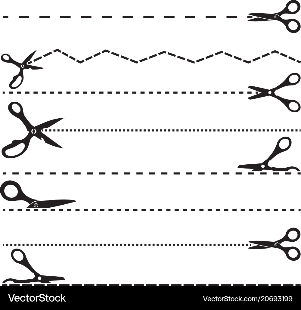 Cutting Lines & Scissors vector image