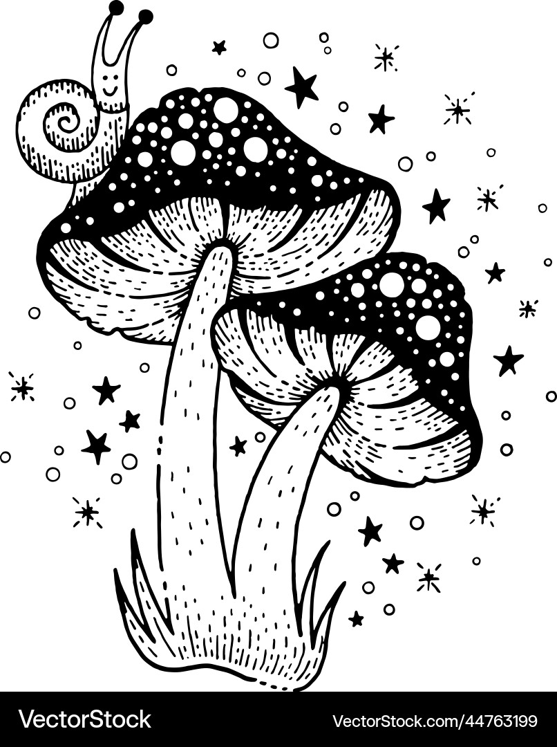 Mushroom magic of fly agaric Mushroom magic of fly agaric vector image