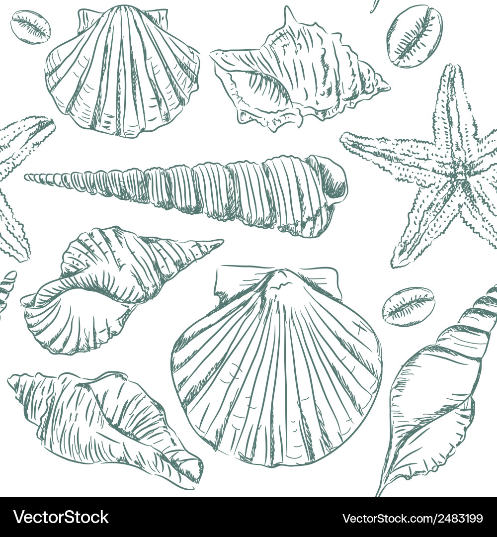 Seashell Spiral Pattern vector image