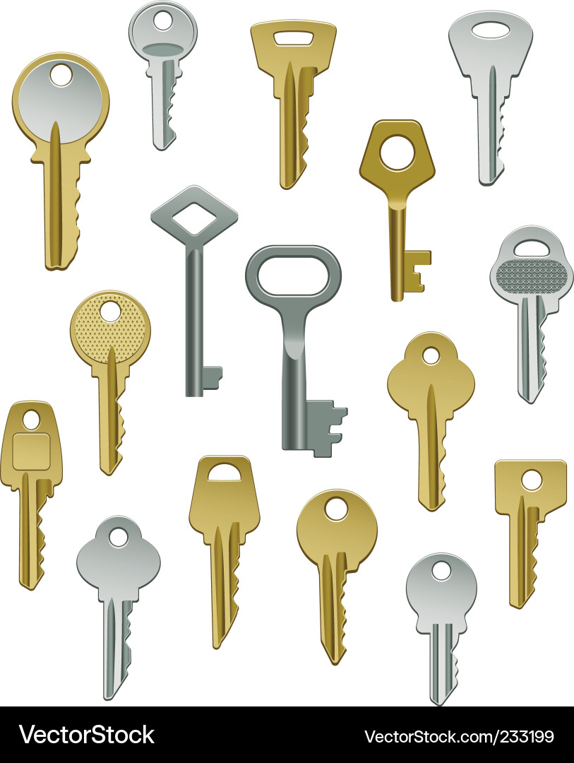 Set of Metallic Keys Vector Image