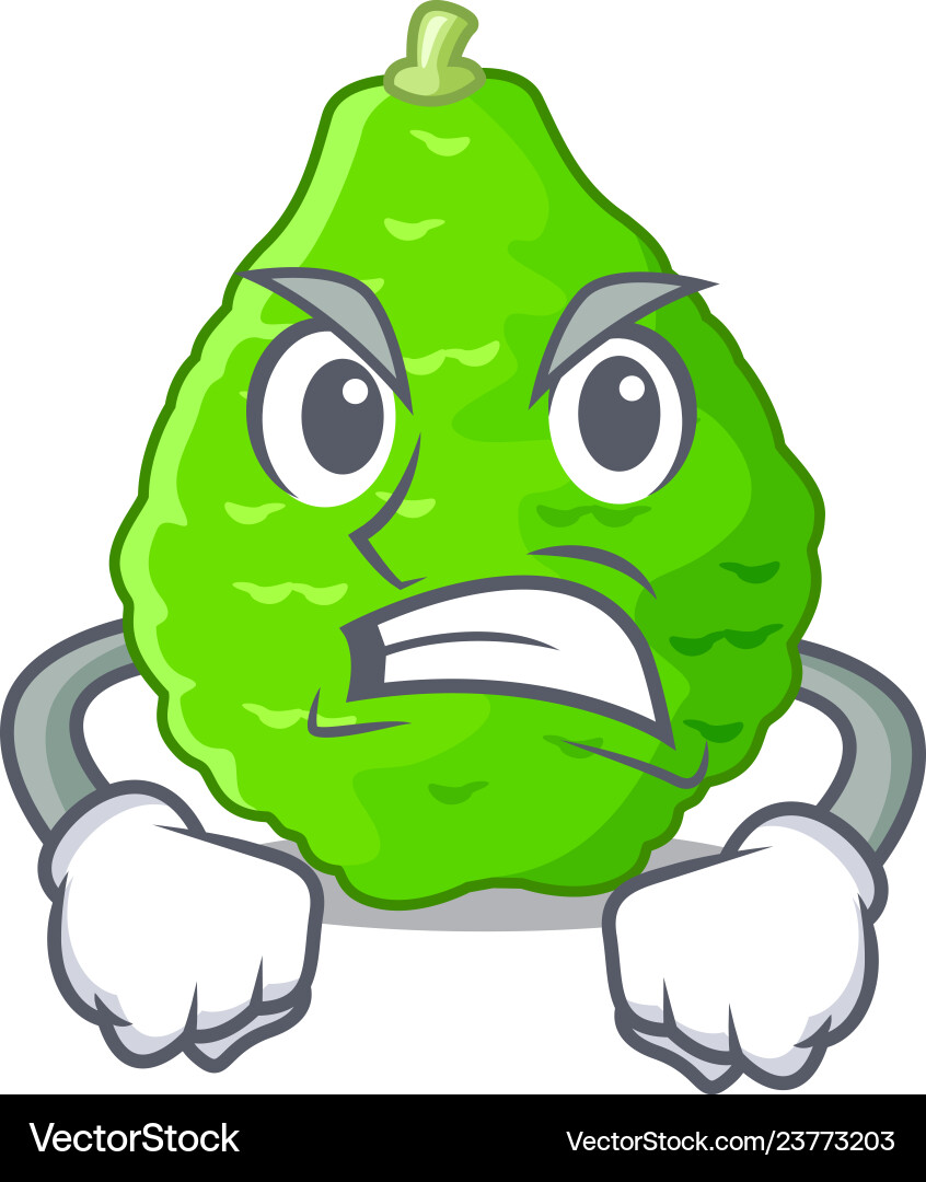Angry kaffir lime in the character shape Angry kaffir lime in the character shape Vector Image