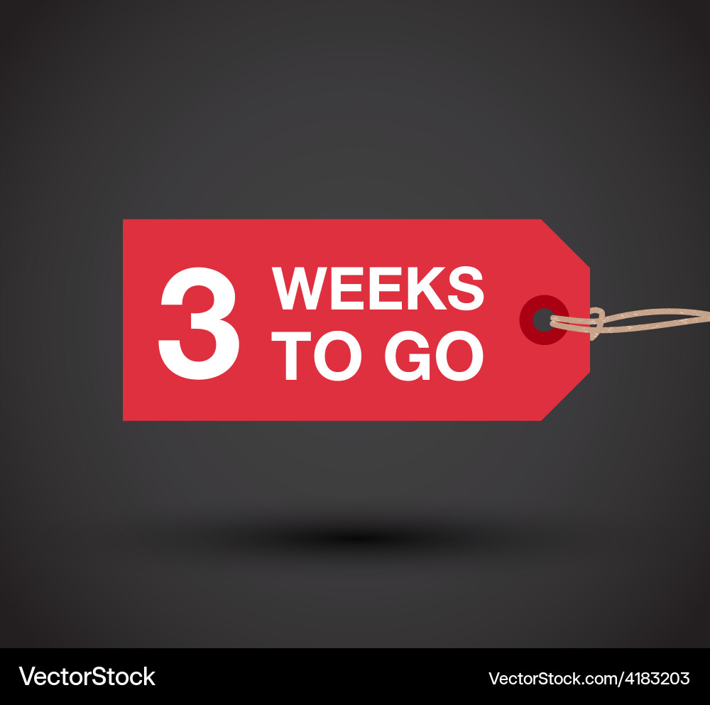 Countdown Timer - 3 Weeks vector image