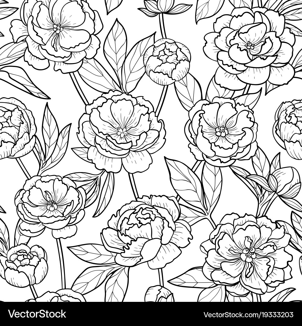 Floral Peony Pattern vector image