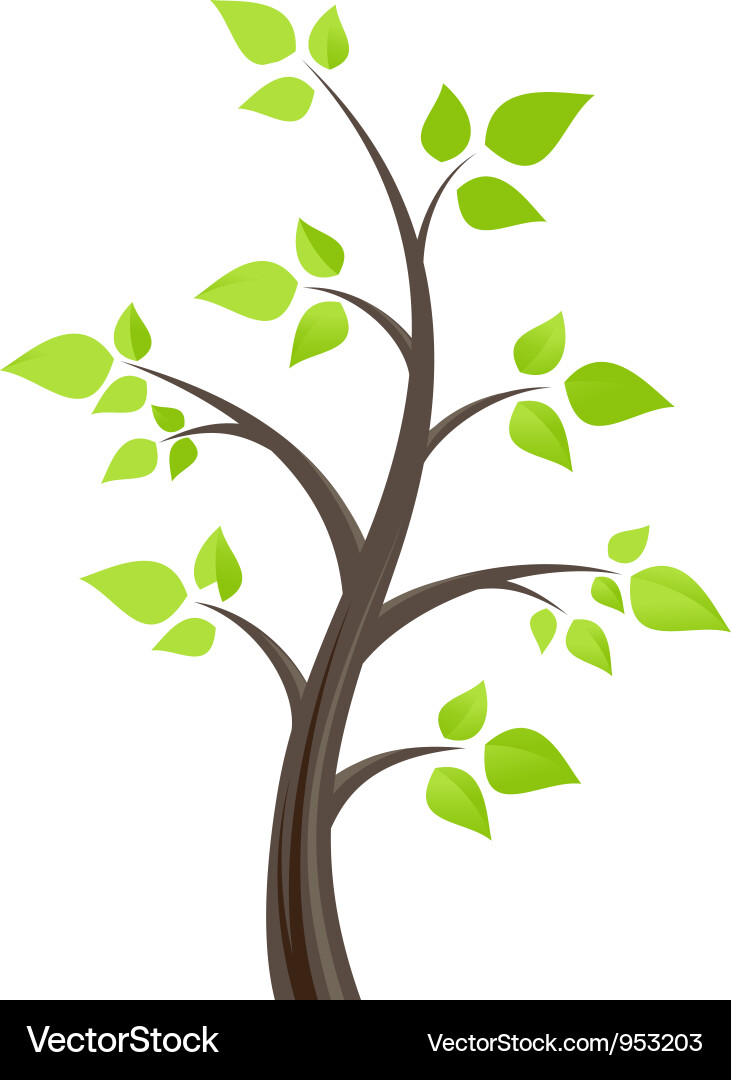 Isolated Deciduous Tree Vector Image