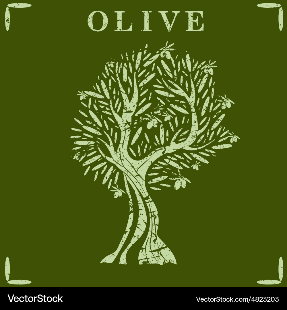 Olive Branch Pattern Vector Image