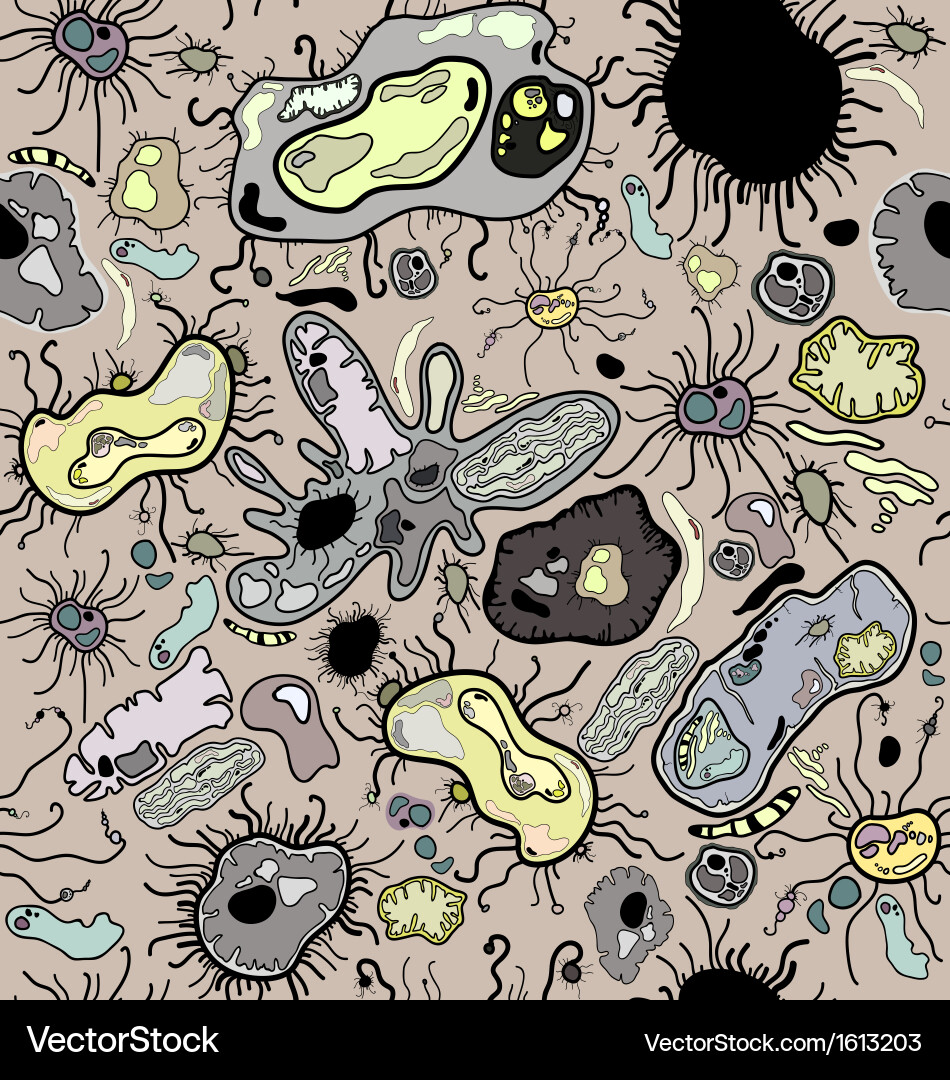 Seamless pattern of cells vector image