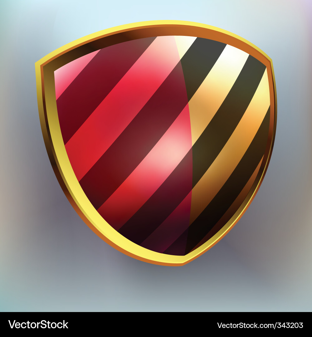 Shield template item vector image
