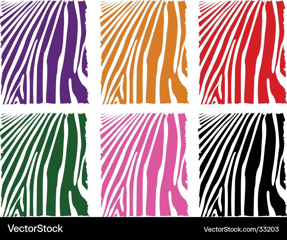Zebra Skin Pattern Vector Image