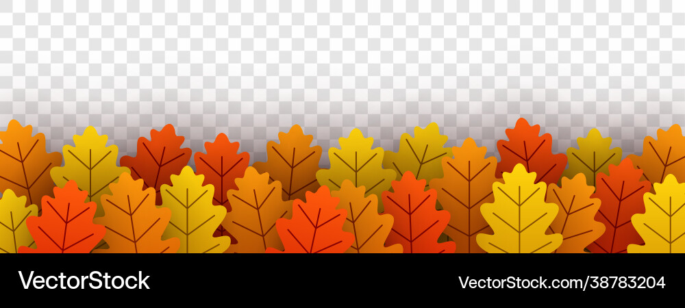 Autumn gold oak leaves on transparent background Autumn gold oak leaves on transparent background vector image